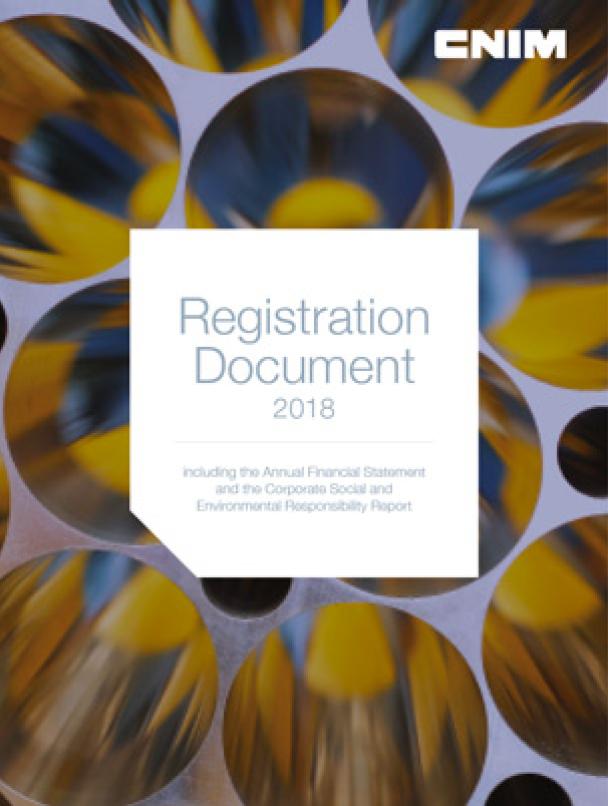 Registration Document 2018