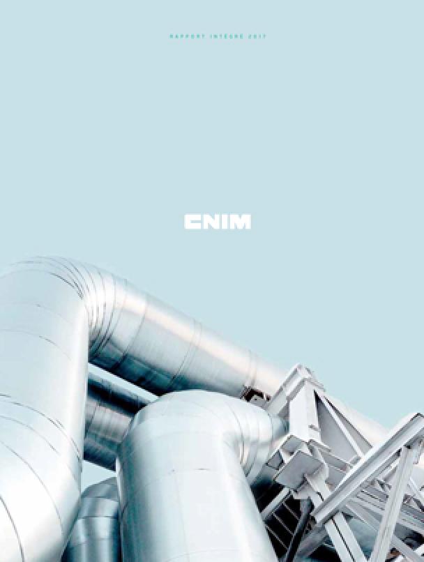 Rapport Intégré 2017